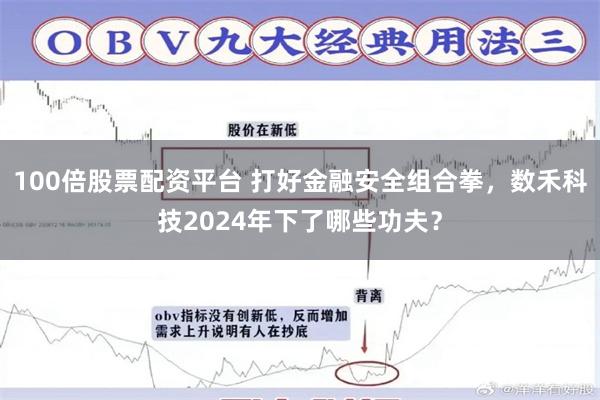 100倍股票配资平台 打好金融安全组合拳，数禾科技2024年下了哪些功夫？