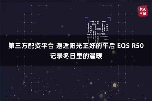 第三方配资平台 邂逅阳光正好的午后 EOS R50记录冬日里的温暖