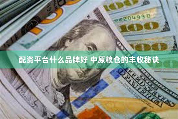 配资平台什么品牌好 中原粮仓的丰收秘诀