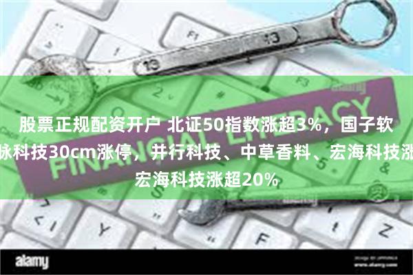 股票正规配资开户 北证50指数涨超3%，国子软件、广脉科技30cm涨停，并行科技、中草香料、宏海科技涨超20%