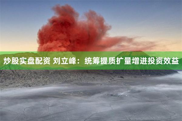 炒股实盘配资 刘立峰：统筹提质扩量增进投资效益