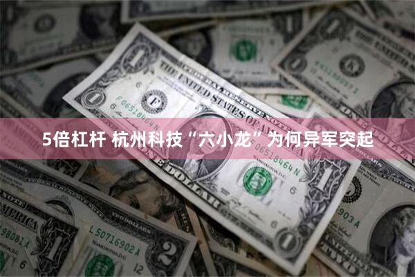 5倍杠杆 杭州科技“六小龙”为何异军突起