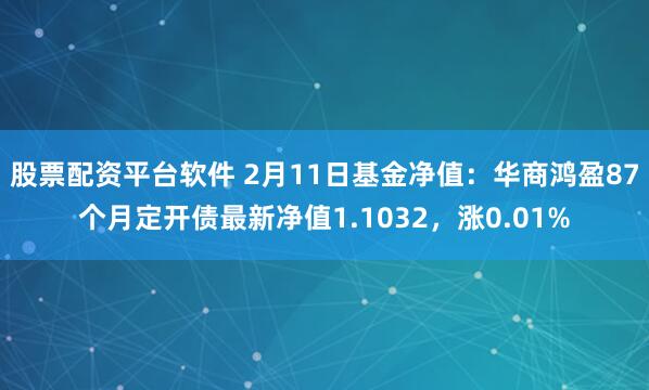 股票配资平台软件 2月11日基金净值：华商鸿盈87个月定开债最新净值1.1032，涨0.01%