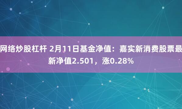 网络炒股杠杆 2月11日基金净值：嘉实新消费股票最新净值2.501，涨0.28%