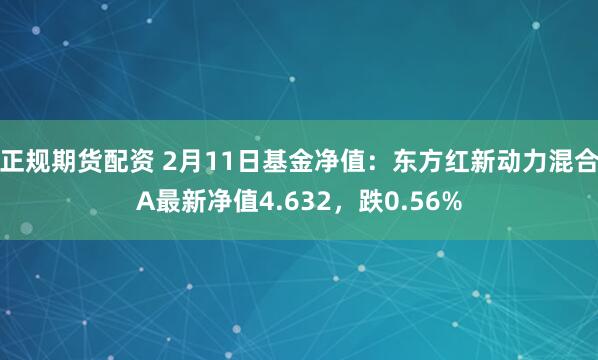 正规期货配资 2月11日基金净值：东方红新动力混合A最新净值4.632，跌0.56%