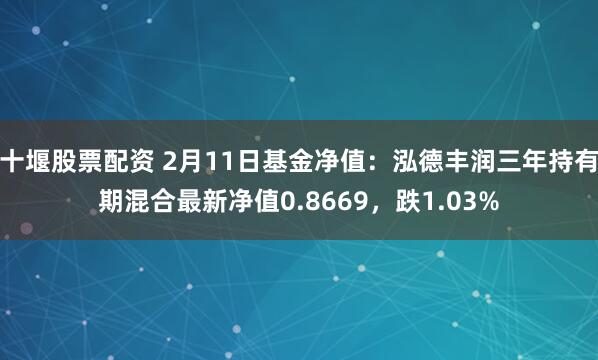 十堰股票配资 2月11日基金净值：泓德丰润三年持有期混合最新净值0.8669，跌1.03%