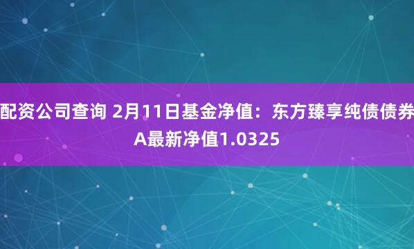 配资公司查询 2月11日基金净值：东方臻享纯债债券A最新净值1.0325