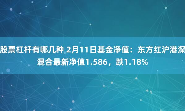 股票杠杆有哪几种 2月11日基金净值：东方红沪港深混合最新净值1.586，跌1.18%