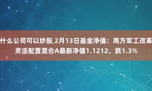 什么公司可以炒股 2月13日基金净值：南方军工改革灵活配置混合A最新净值1.1212，跌1.3%