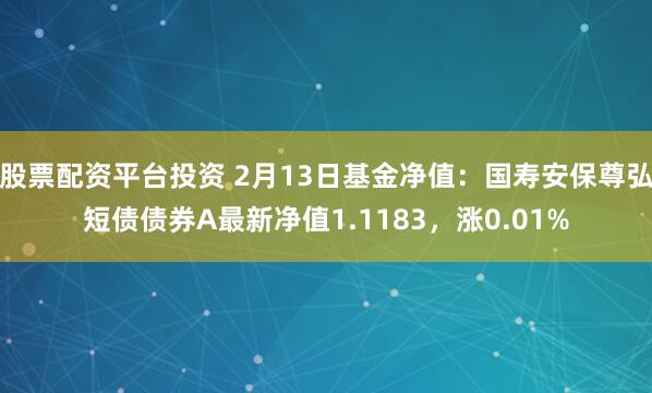 股票配资平台投资 2月13日基金净值：国寿安保尊弘短债债券A最新净值1.1183，涨0.01%