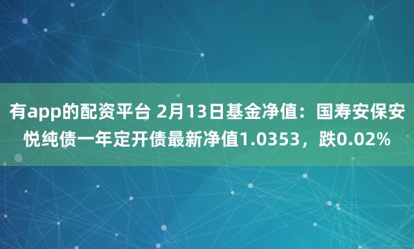 有app的配资平台 2月13日基金净值：国寿安保安悦纯债一年定开债最新净值1.0353，跌0.02%