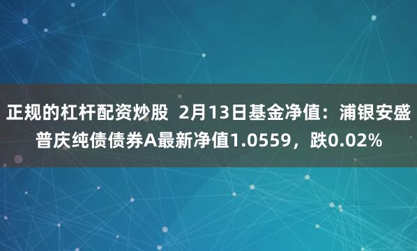 正规的杠杆配资炒股  2月13日基金净值：浦银安盛普庆纯债债券A最新净值1.0559，跌0.02%