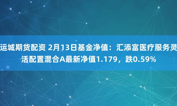 运城期货配资 2月13日基金净值：汇添富医疗服务灵活配置混合A最新净值1.179，跌0.59%