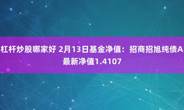 杠杆炒股哪家好 2月13日基金净值：招商招旭纯债A最新净值1.4107