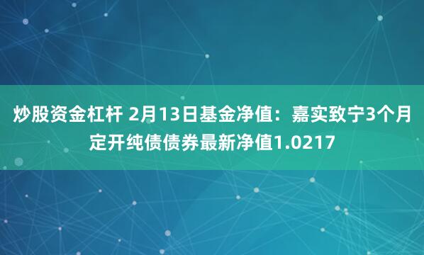 炒股资金杠杆 2月13日基金净值：嘉实致宁3个月定开纯债债券最新净值1.0217