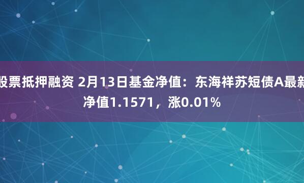 股票抵押融资 2月13日基金净值：东海祥苏短债A最新净值1.1571，涨0.01%