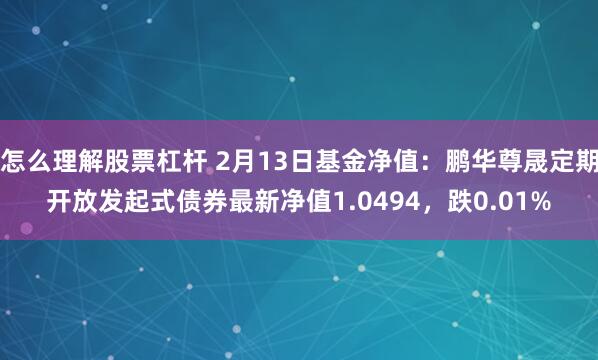 怎么理解股票杠杆 2月13日基金净值：鹏华尊晟定期开放发起式债券最新净值1.0494，跌0.01%