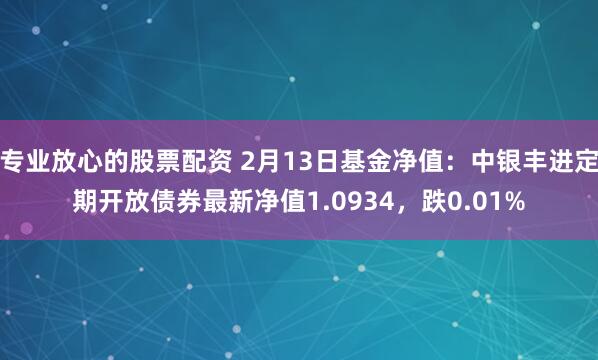 专业放心的股票配资 2月13日基金净值：中银丰进定期开放债券最新净值1.0934，跌0.01%