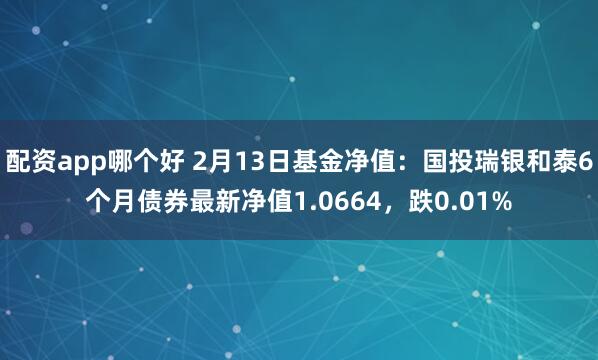 配资app哪个好 2月13日基金净值：国投瑞银和泰6个月债券最新净值1.0664，跌0.01%