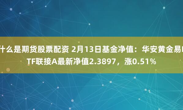 什么是期货股票配资 2月13日基金净值：华安黄金易ETF联接A最新净值2.3897，涨0.51%