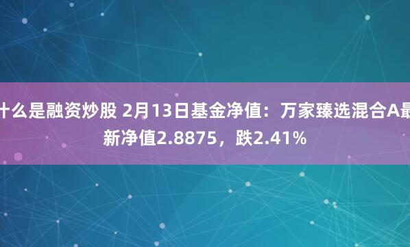 什么是融资炒股 2月13日基金净值：万家臻选混合A最新净值2.8875，跌2.41%