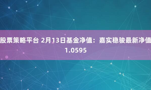 股票策略平台 2月13日基金净值：嘉实稳骏最新净值1.0595