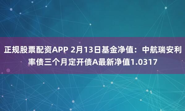 正规股票配资APP 2月13日基金净值：中航瑞安利率债三个月定开债A最新净值1.0317