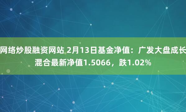 网络炒股融资网站 2月13日基金净值：广发大盘成长混合最新净值1.5066，跌1.02%