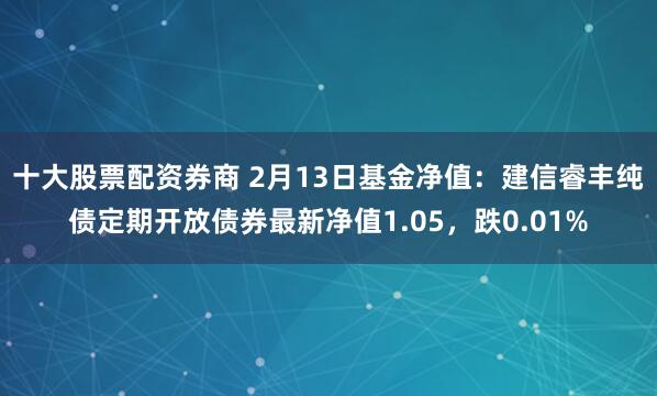 十大股票配资券商 2月13日基金净值：建信睿丰纯债定期开放债券最新净值1.05，跌0.01%