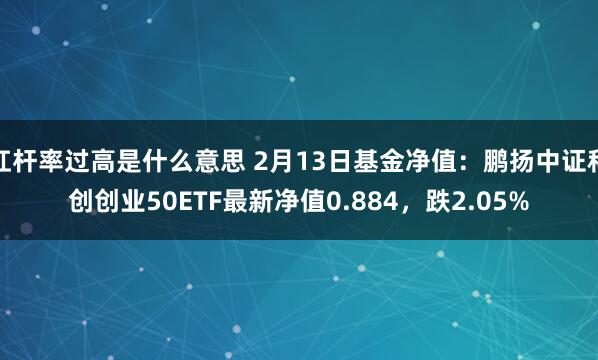 杠杆率过高是什么意思 2月13日基金净值：鹏扬中证科创创业50ETF最新净值0.884，跌2.05%